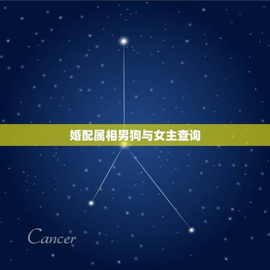 婚配属相男狗与女主查询，男狗女狗属相相配吗