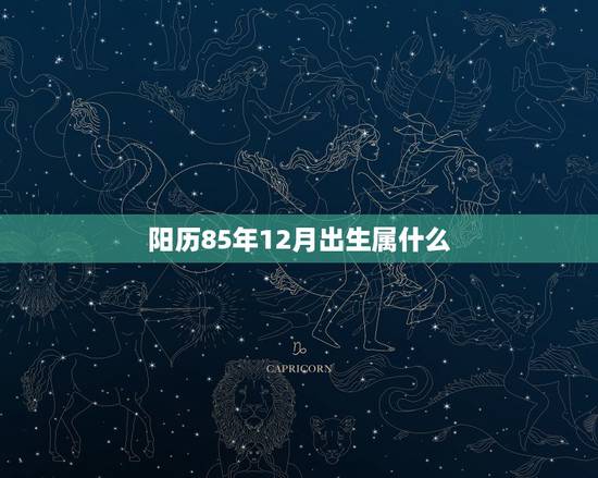 阳历85年12月出生属什么 85年12月是什么命 阳历85年12月出生属什么 85年12月是什么命