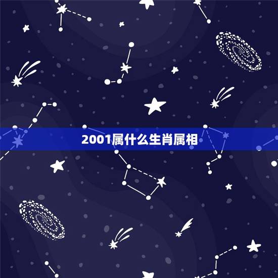 2001属什么生肖属相，01属什么生肖属