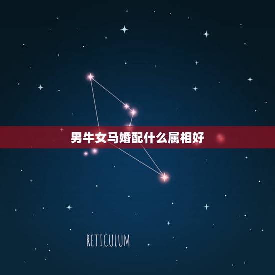 男牛女马婚配什么属相好，男属牛与女属马婚配如何