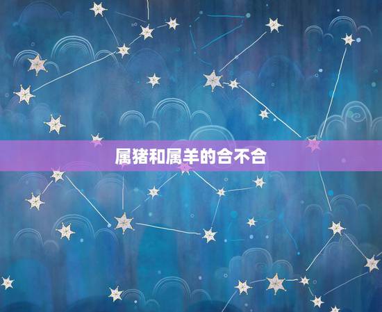 属猪和属羊的合不合,猪和羊在一起财运怎么样 属猪和属羊的合不合,猪和羊在一起财运怎么样