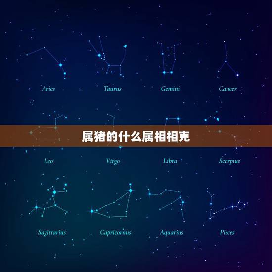 属猪的什么属相相克,猪的更佳配偶属相 属猪的什么属相相克,猪的更佳配偶属相