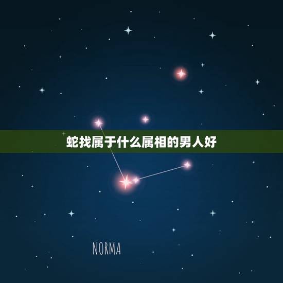 蛇找属于什么属相的男人好,牛蛇属相合不合,婚姻状况怎样 蛇找属于什么属相的男人好,牛蛇属相合不合,婚姻状况怎样