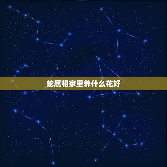 蛇属相家里养什么花好,人十二生肖,属蛇应该家中放什么花好 蛇属相家里养什么花好,人十二生肖,属蛇应该家中放什么花好