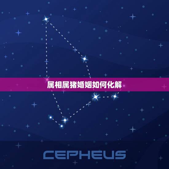 属相属猪婚姻如何化解，属相相克如何化解