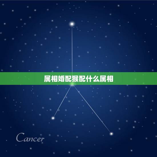 属相婚配猴配什么属相,属猴的和什么属相更好 属相婚配猴配什么属相,属猴的和什么属相更好