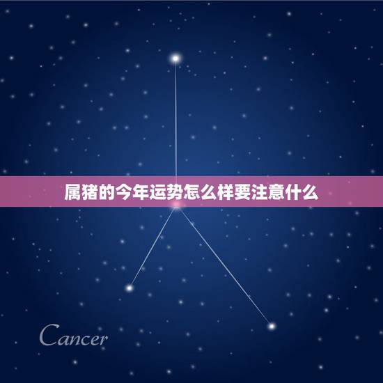 属猪的今年运势怎么样要注意什么,2022 年属猪的财运和运气如何 属猪的今年运势怎么样要注意什么,2022 年属猪的财运和运气如何