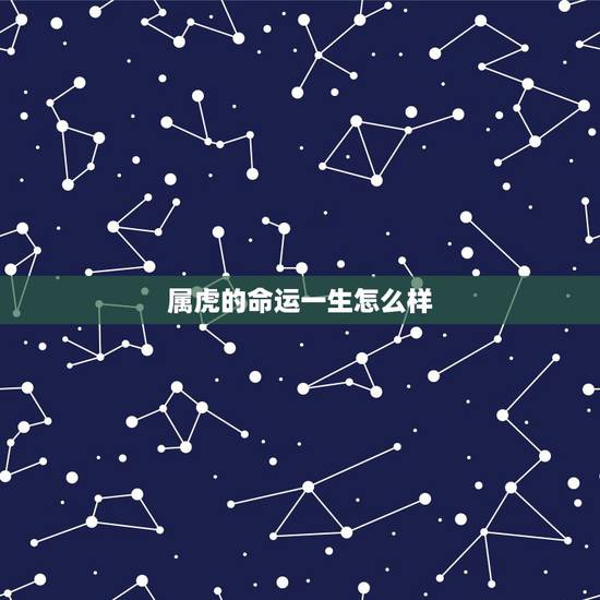 属虎的命运一生怎么样，属虎的富豪出生月份
