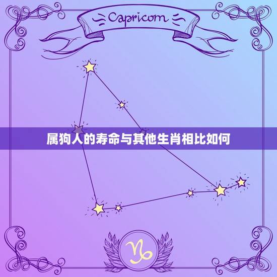 属狗人的寿命与其他生肖相比如何