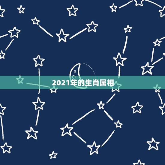 2021年的生肖属相，2021年发横财的生肖有哪些？