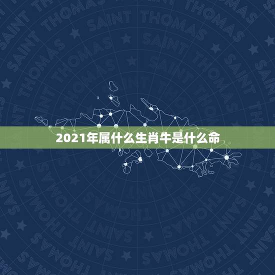 2021年属什么生肖牛是什么命，2021年是什么牛五行属什么