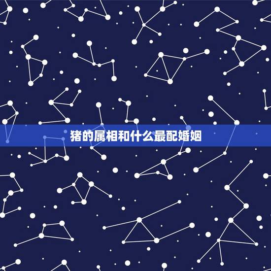 猪的属相和什么最配婚姻,属相婚配表之属猪的和什么属相最配 猪的属相和什么最配婚姻,属相婚配表之属猪的和什么属相最配
