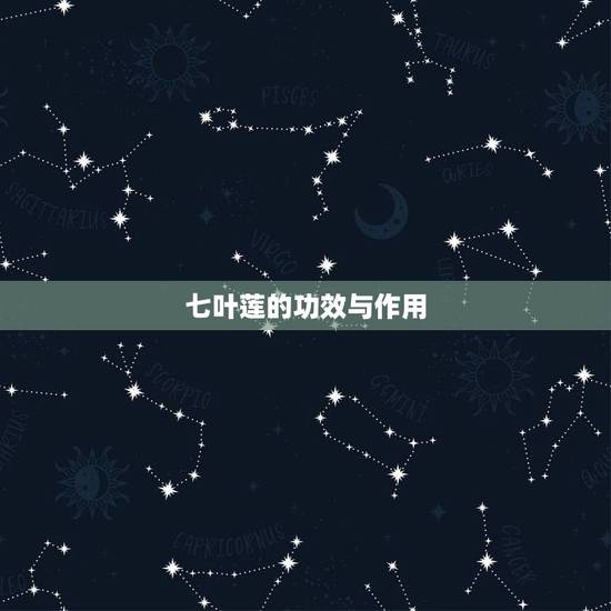 七叶莲的功效与作用,七叶莲的风水作用 七叶莲的功效与作用,七叶莲的风水作用