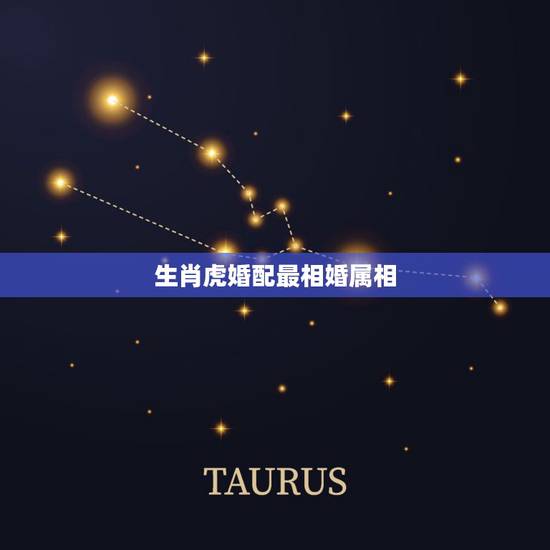 生肖虎婚配最相婚属相,最佳属相配对 生肖虎婚配最相婚属相,最佳属相配对