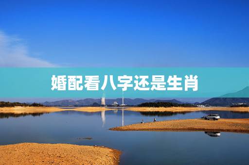 婚配看八字还是生肖,请问懂命理的大师,合婚是看属相还是属命? 婚配看八字还是生肖,请问懂命理的大师,合婚是看属相还是属命?