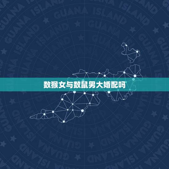 数猴女与数鼠男大婚配吗，属鼠的男的和属猴的女的配吗