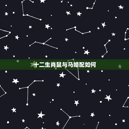 十二生肖鼠与马婚配如何，属相婚配：男属马和女属鼠相配吗