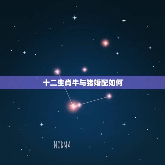 十二生肖牛与猪婚配如何，牛跟猪生肖搭配吗？