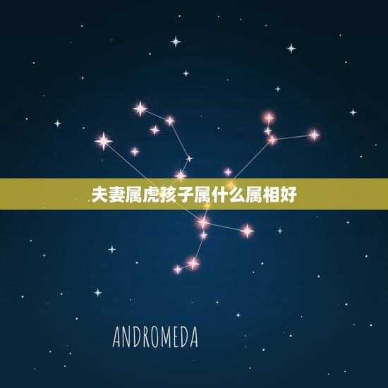 夫妻属虎孩子属什么属相好，夫妻属虎生什么属相的宝宝好