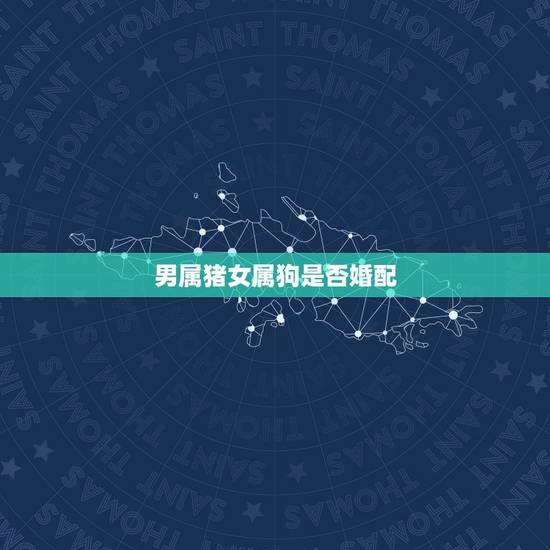 男属猪女属狗是否婚配,在风水学上说,男属猪,女属狗适合婚配吗?婚配有什 男属猪女属狗是否婚配,在风水学上说,男属猪,女属狗适合婚配吗?婚配有什