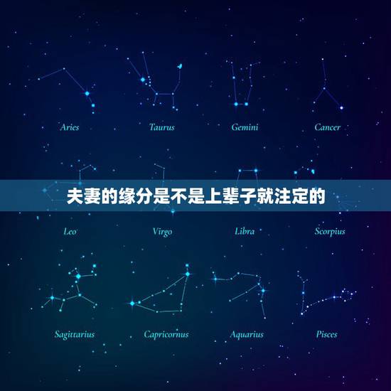 夫妻的缘分是不是上辈子就注定的,夫妻之间的姻缘是不是天注定的? 夫妻的缘分是不是上辈子就注定的,夫妻之间的姻缘是不是天注定的?