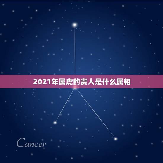 2021年属虎的贵人是什么属相,生肖马2021年不可错过的贵人 2021年属虎的贵人是什么属相,生肖马2021年不可错过的贵人