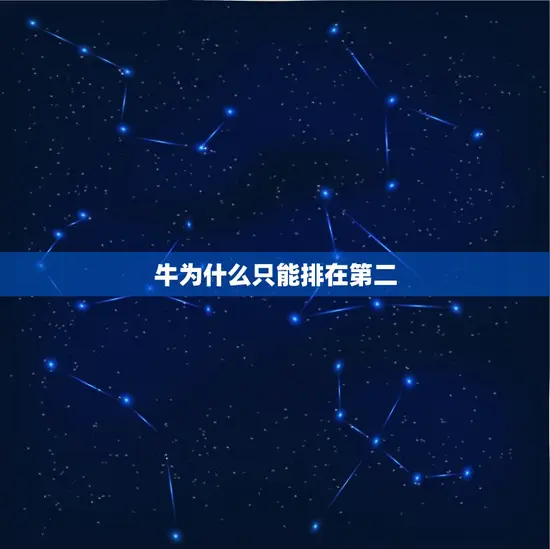 牛为什么只能排在第二