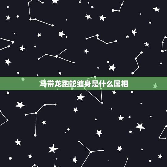 马带龙跑蛇缠身是什么属相，马带龙跑蛇缠身是什么生肖