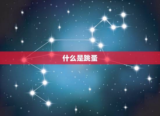 什么是跳蚤 什么是跳蚤