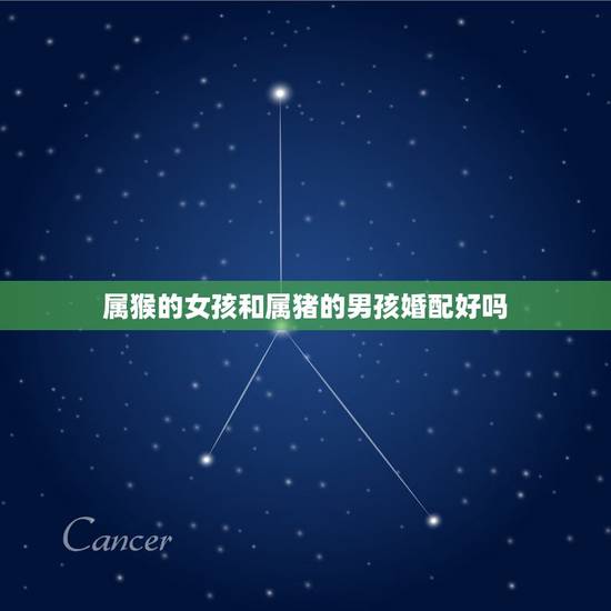 属猴的女孩和属猪的男孩婚配好吗,女属猪男属猴婚配好吗 属猴的女孩和属猪的男孩婚配好吗,女属猪男属猴婚配好吗