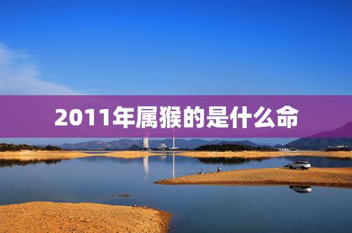 2011年属猴的是什么命,2022 年属猪的是什么命 2011年属猴的是什么命,2022 年属猪的是什么命