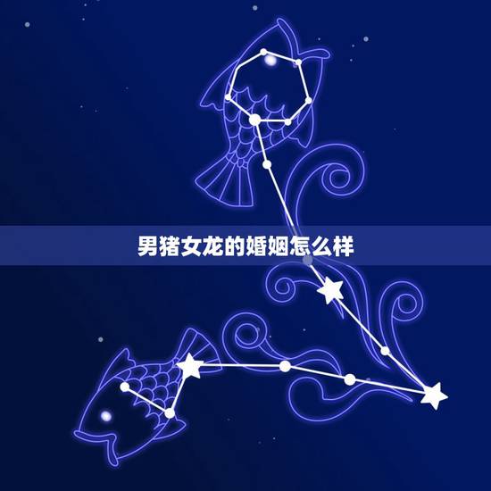 男猪女龙的婚姻怎么样,59年男猪与64年女龙婚配吗 男猪女龙的婚姻怎么样,59年男猪与64年女龙婚配吗