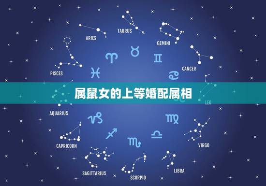 属鼠女的上等婚配属相，女鼠不能找的生肖
