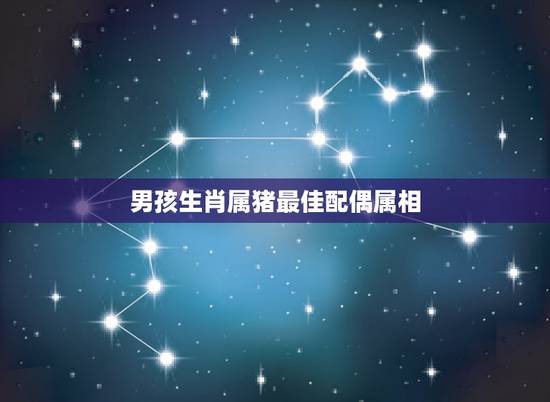 男孩生肖属猪最佳配偶属相,属猪的属相婚配表 男孩生肖属猪最佳配偶属相,属猪的属相婚配表
