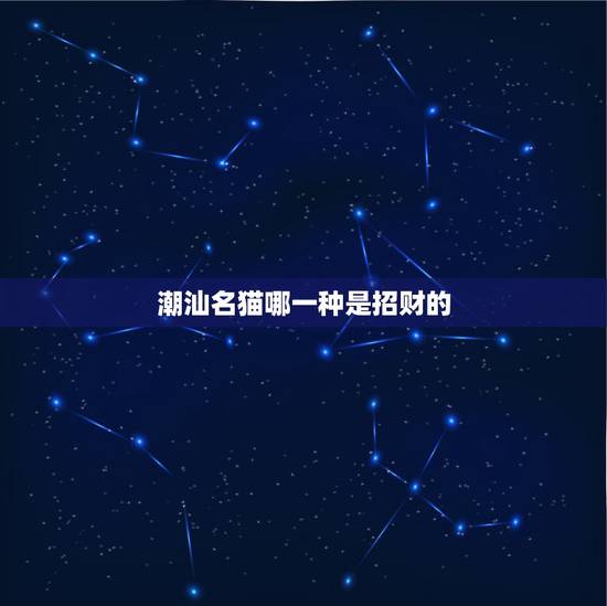 潮汕名猫哪一种是招财的,什么颜色的猫最旺财 潮汕名猫哪一种是招财的,什么颜色的猫最旺财