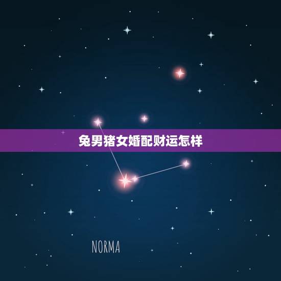 兔男猪女婚配财运怎样,属兔女未来命运 兔男猪女婚配财运怎样,属兔女未来命运