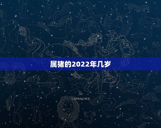 属猪的2022年几岁，属龙2022 年几岁