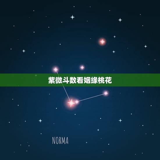 紫微斗数看姻缘桃花,请问紫微斗数怎么看戀愛婚姻 紫微斗数看姻缘桃花,请问紫微斗数怎么看戀愛婚姻