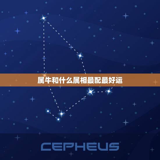 属牛和什么属相最配最好运，97年属牛和属什么才能结婚过一辈子