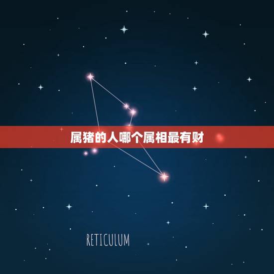 属猪的人哪个属相最有财,属猪的和什么属相最配 属猪的人哪个属相最有财,属猪的和什么属相最配
