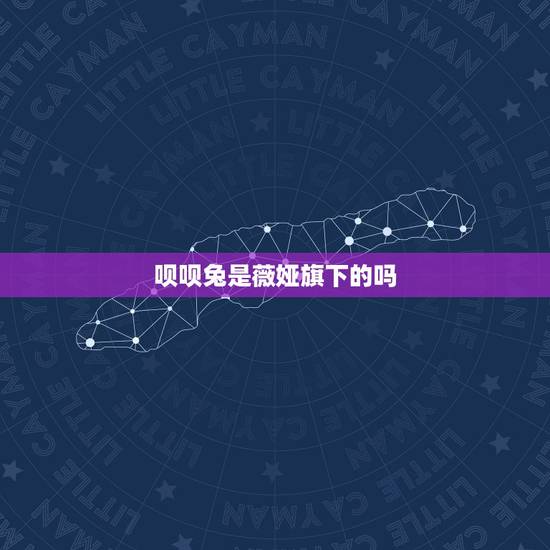 呗呗兔是薇娅旗下的吗,薇娅什么学历 呗呗兔是薇娅旗下的吗,薇娅什么学历