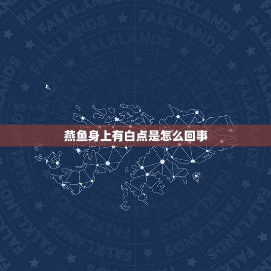 燕鱼身上有白点是怎么回事，急！长尾燕鱼身上长出小白点