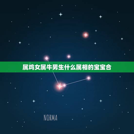 属鸡女属牛男生什么属相的宝宝合,男属鸡女属牛生什么属相的孩子好 属鸡女属牛男生什么属相的宝宝合,男属鸡女属牛生什么属相的孩子好
