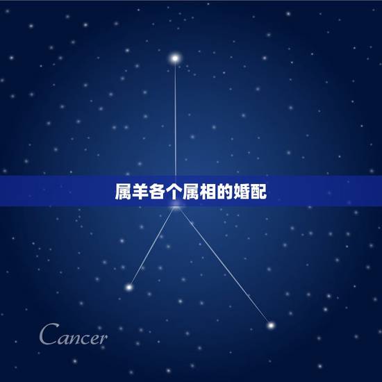属羊各个属相的婚配，属羊的和什么属相相配
