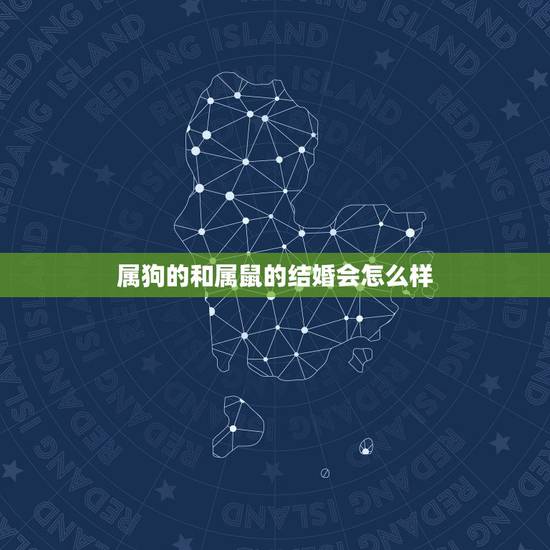 属狗的和属鼠的结婚会怎么样，属狗和属鼠相配吗