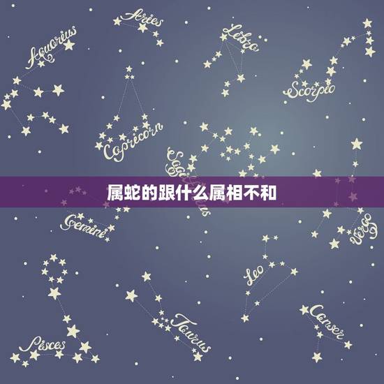 属蛇的跟什么属相不和，鼠跟什么属相不合