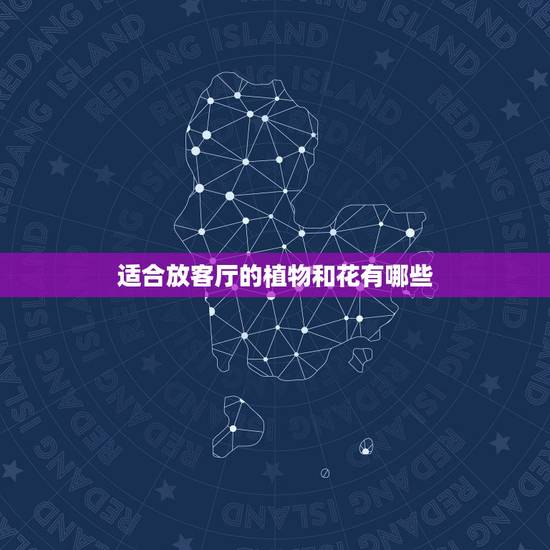适合放客厅的植物和花有哪些,客厅能放什么植物和花 适合放客厅的植物和花有哪些,客厅能放什么植物和花
