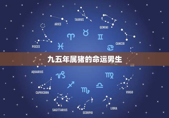 九五年属猪的命运男生,95年属猪男与95年属猪女好不 九五年属猪的命运男生,95年属猪男与95年属猪女好不