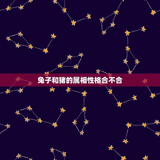 兔子和猪的属相性格合不合,属猪和属兔两姐妹性格合不合 兔子和猪的属相性格合不合,属猪和属兔两姐妹性格合不合