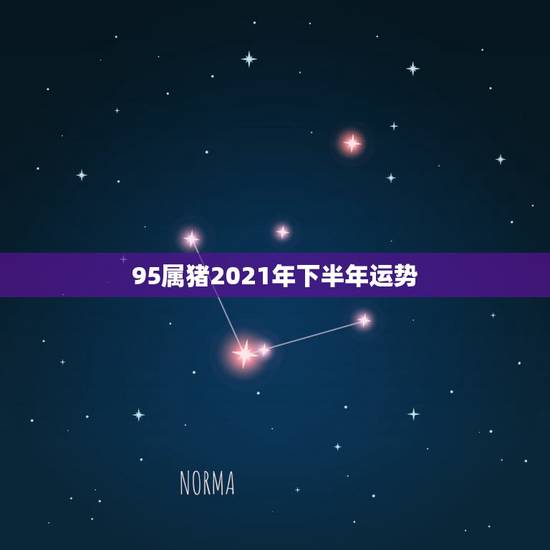 95属猪2021年下半年运势,95年属猪男2021年运势详解 95属猪2021年下半年运势,95年属猪男2021年运势详解